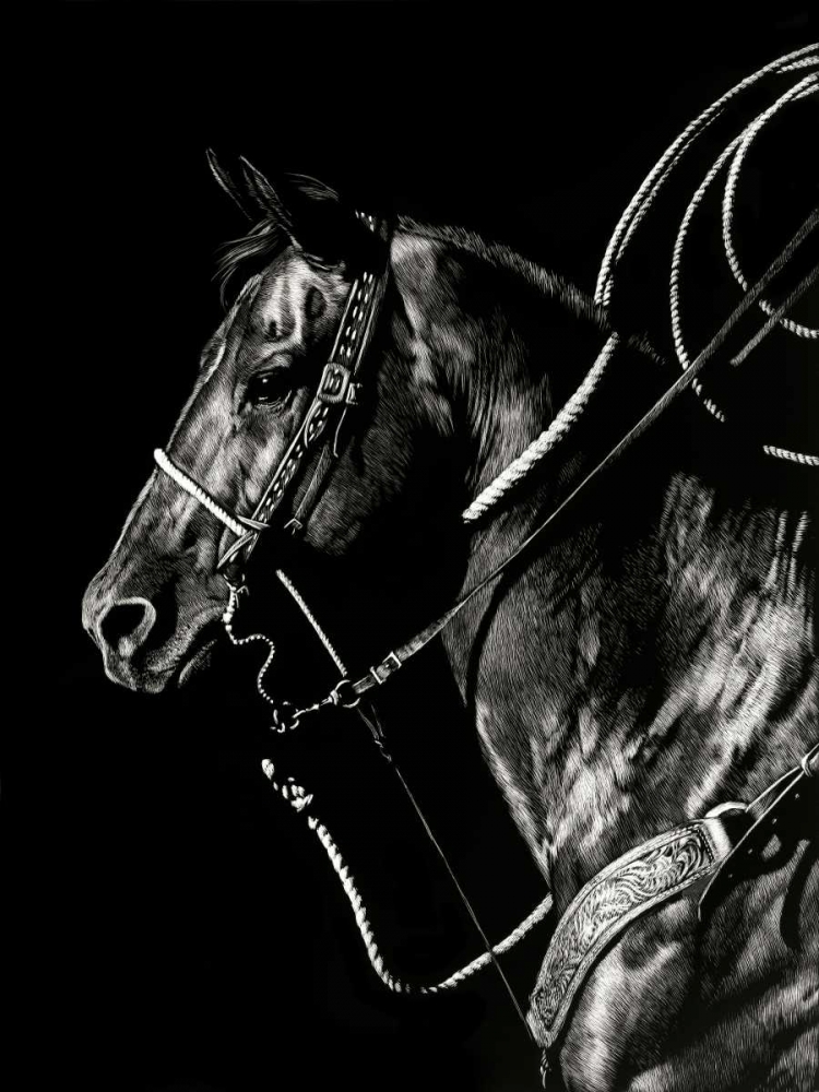 Scratchboard Rodeo V