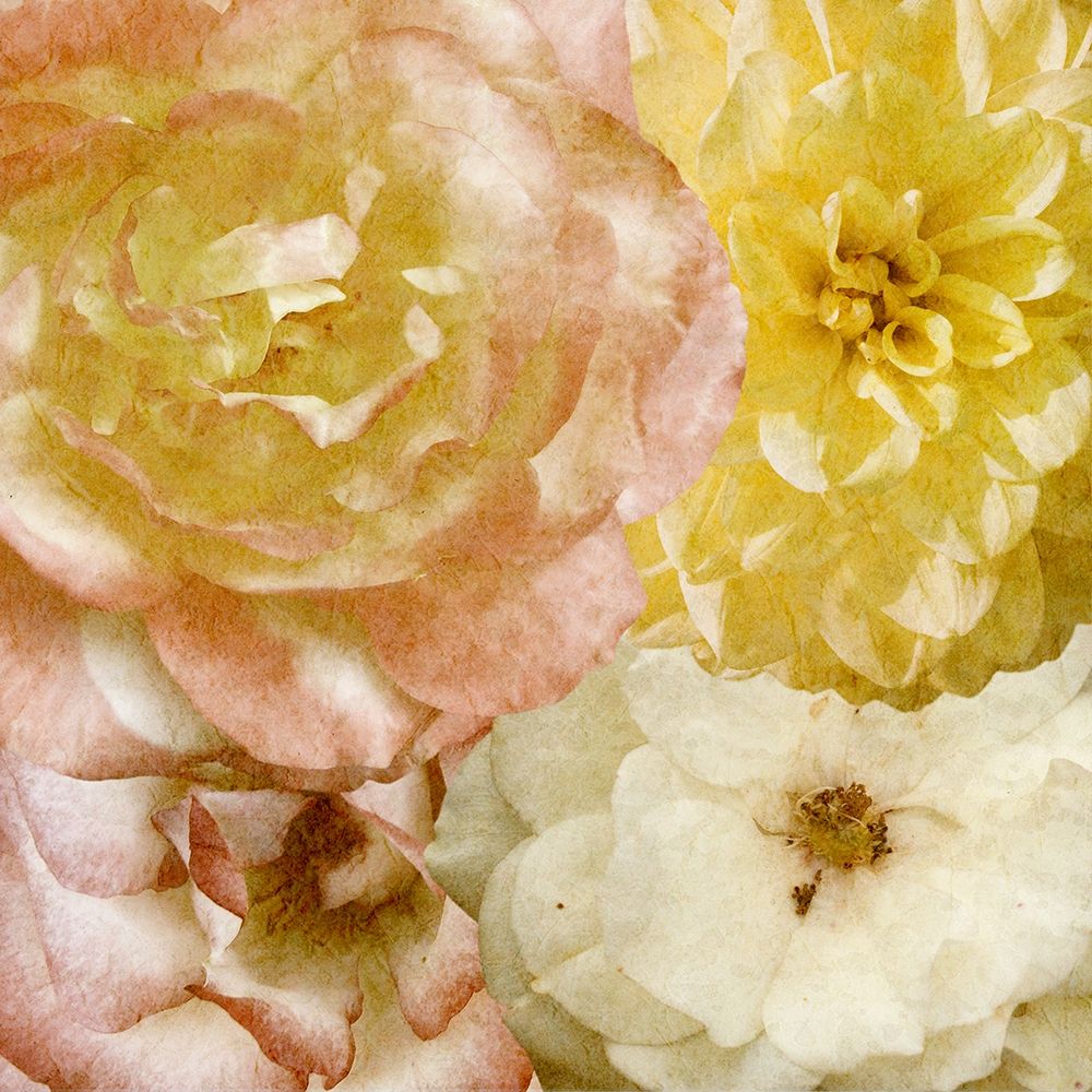 Beautiful Quartet I
