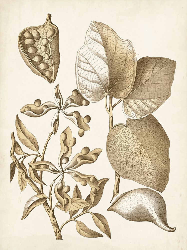 Ochre Botanical III
