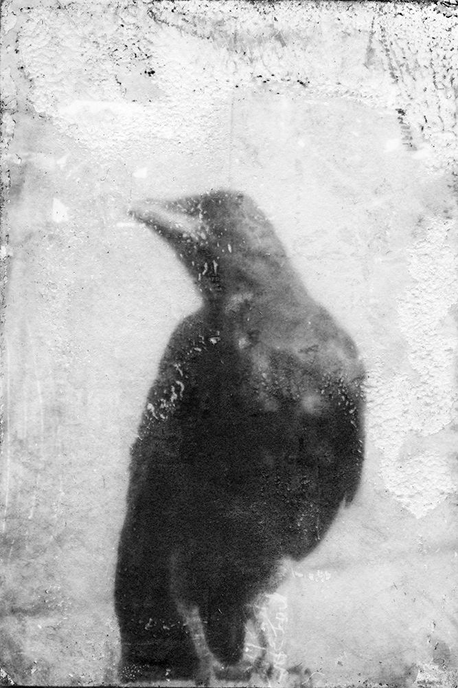 B and W Flight III