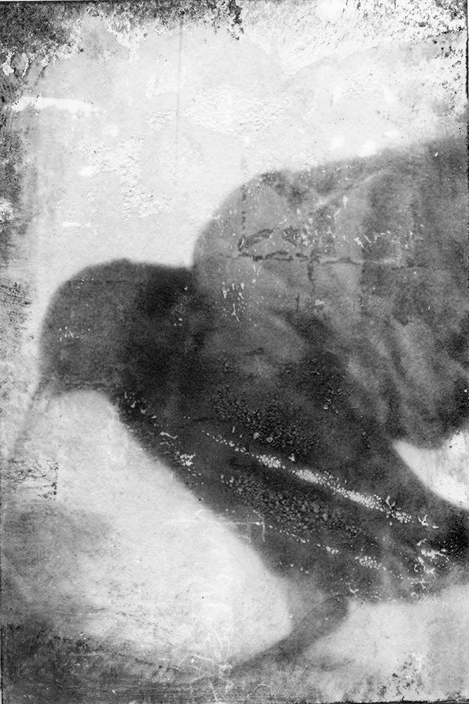 B and W Flight V
