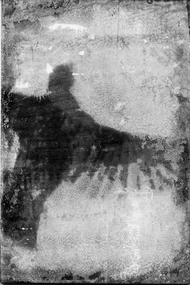 B and W Flight VIII