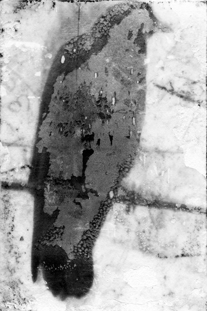 B and W Flight IX