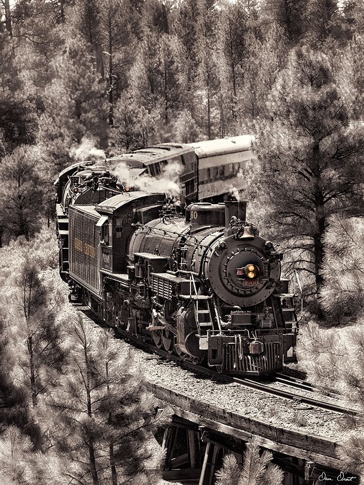 Train Arrival III