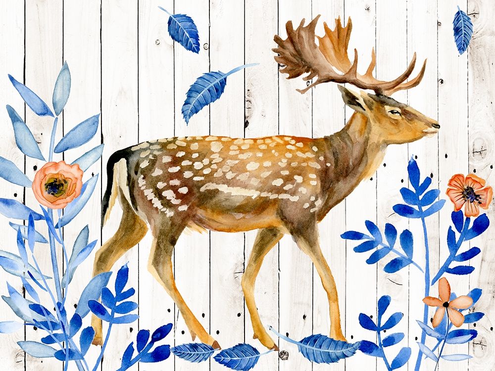 Dear Deer I