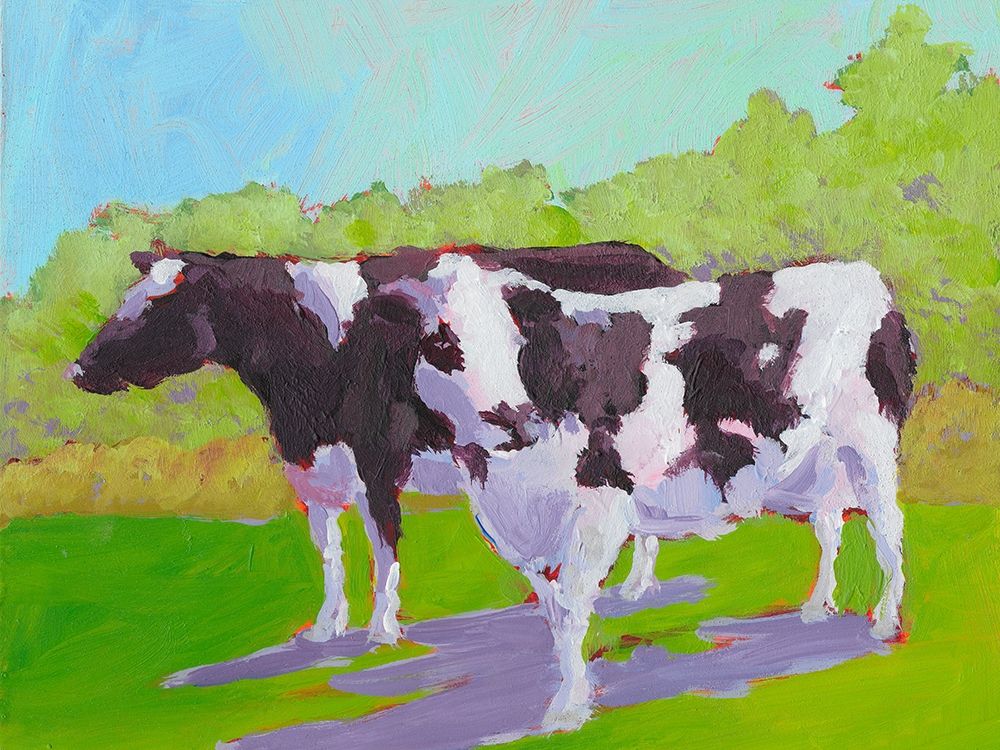 Pasture Cows II