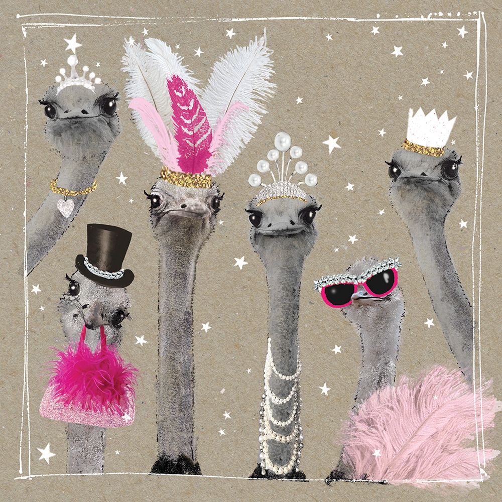 Fancy Pants Zoo V