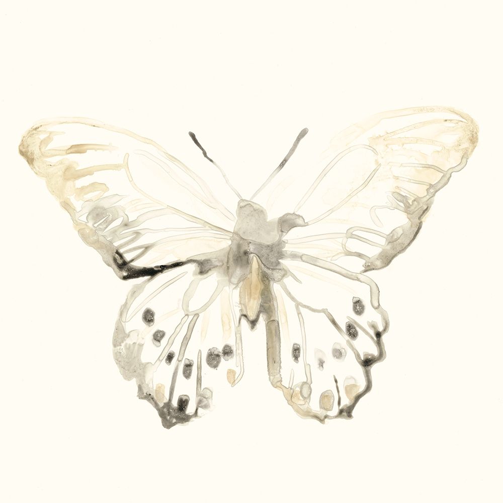 Sepia Butterfly Impressions II