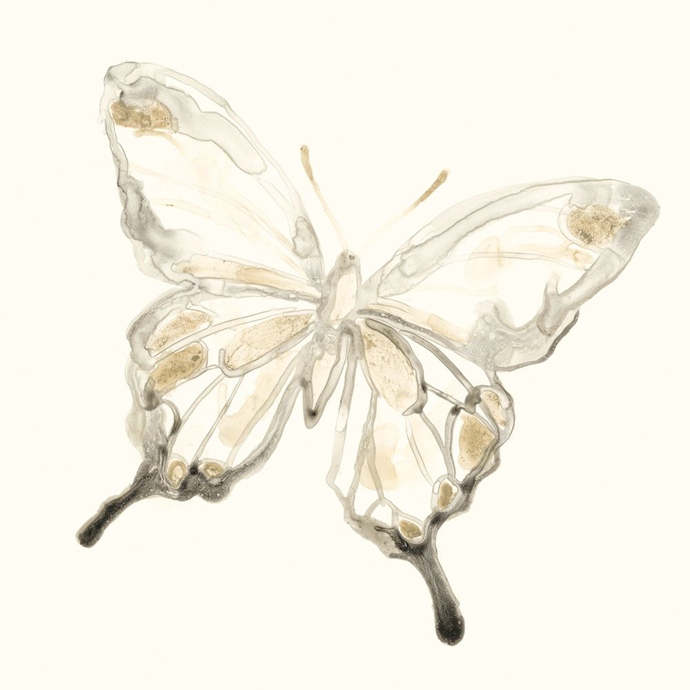 Sepia Butterfly Impressions IV