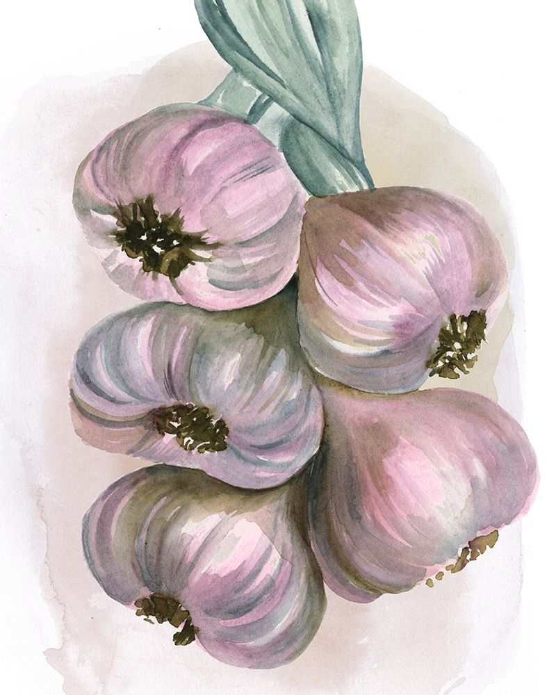 Garlic Braid II