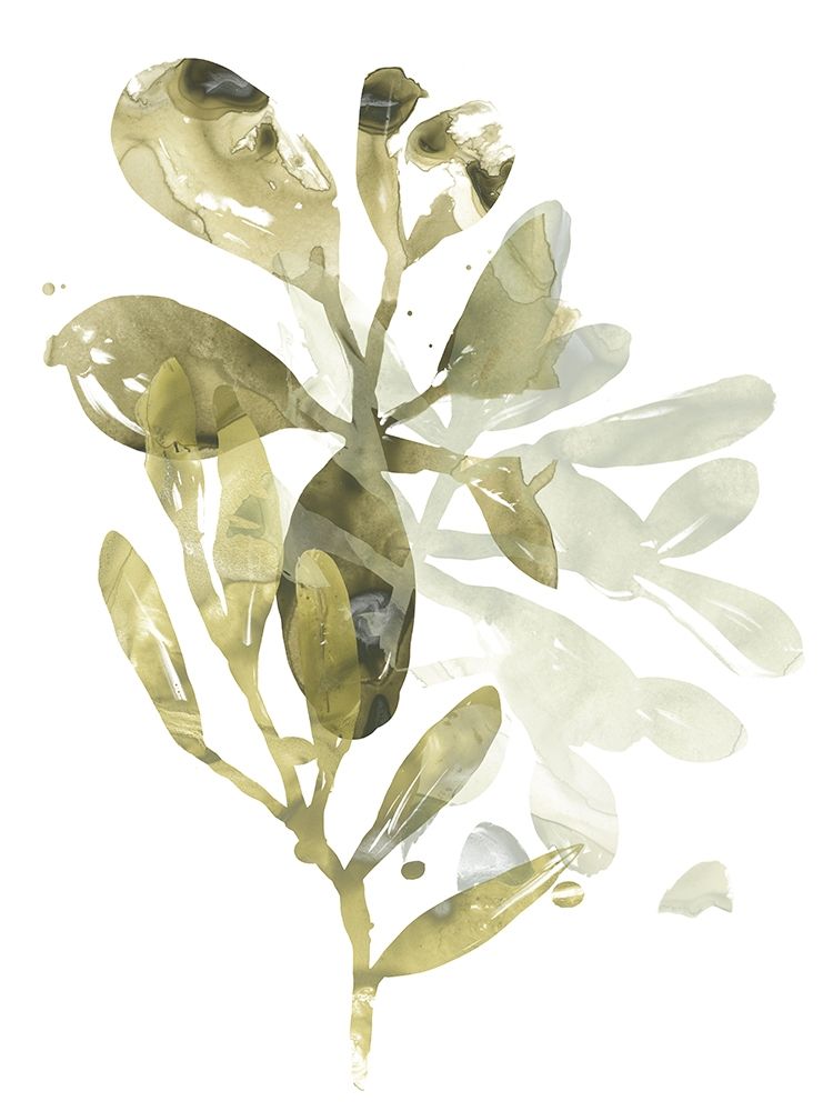 Lichen and Leaves I