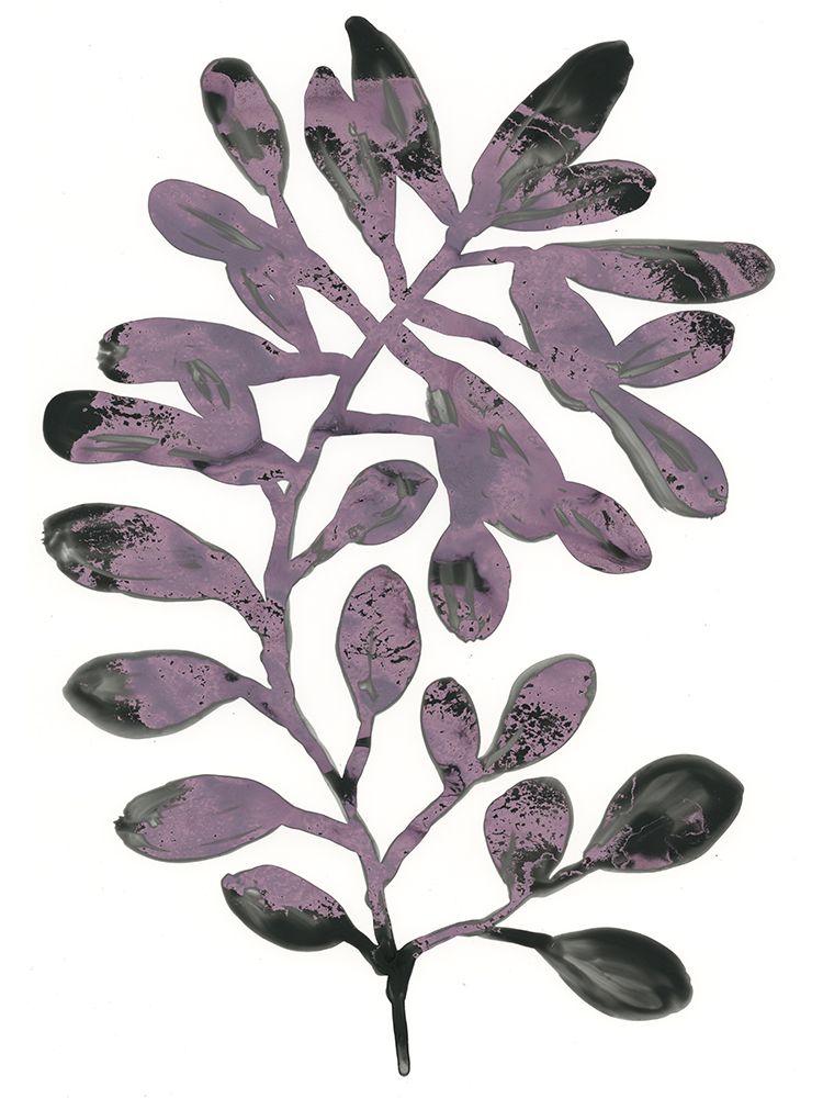 Foliage Fossil VIII