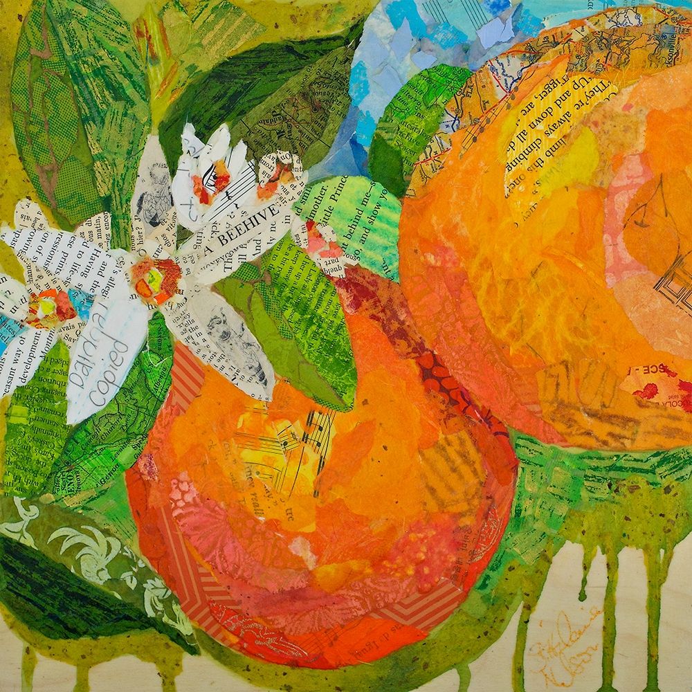 Florida Oranges