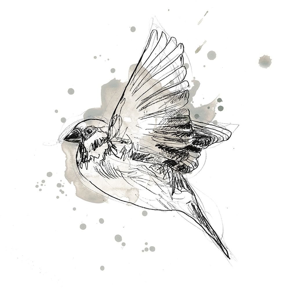 Gestural Bird Study I