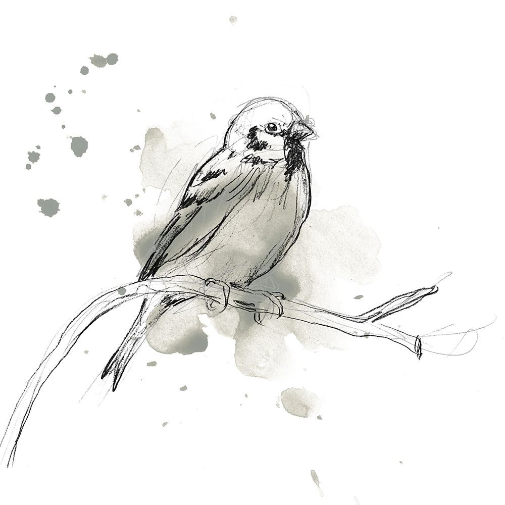Gestural Bird Study II