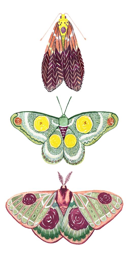 Moth Fairies I
