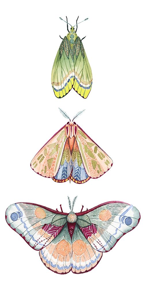 Moth Fairies II