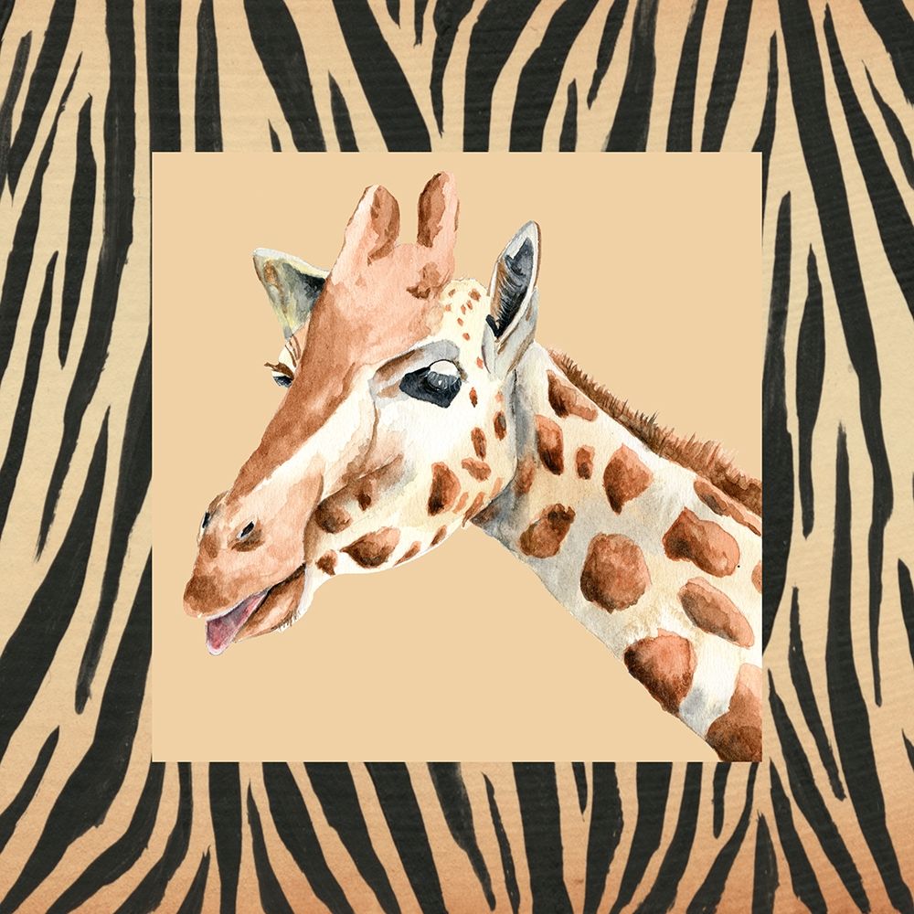 Safari II