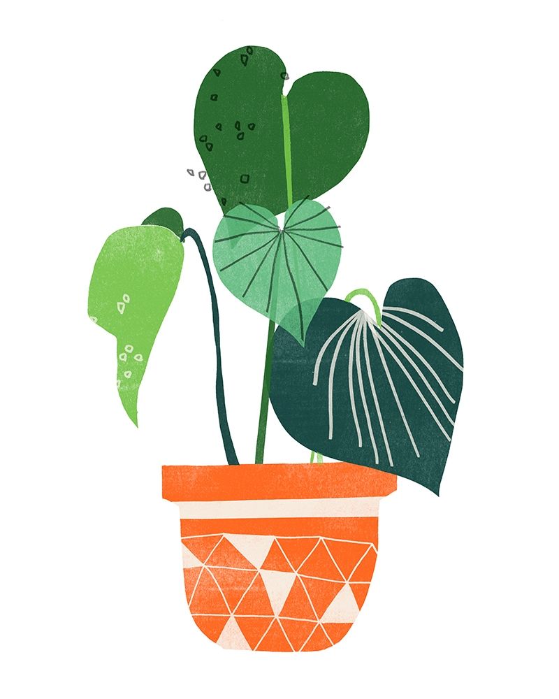 Happy Plants II