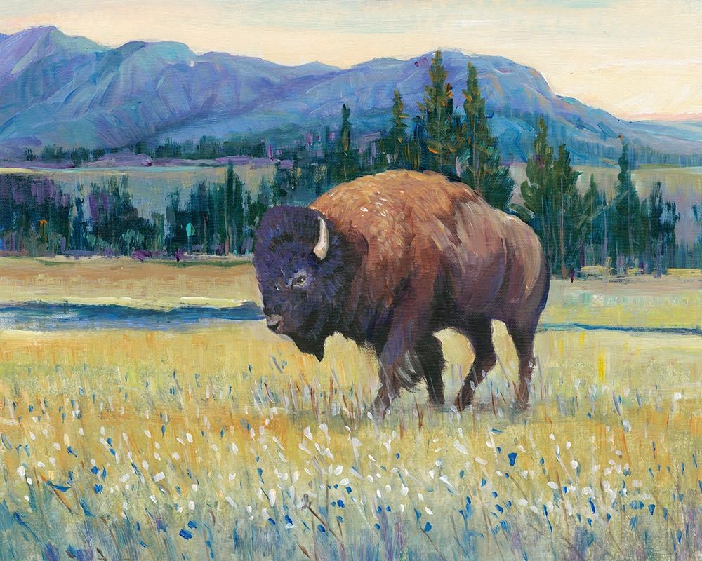 Animals of the West II