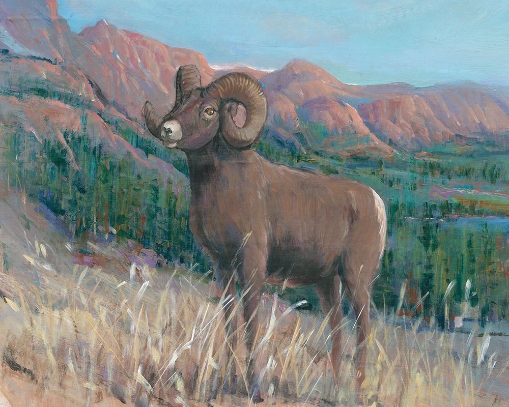 Animals of the West IV