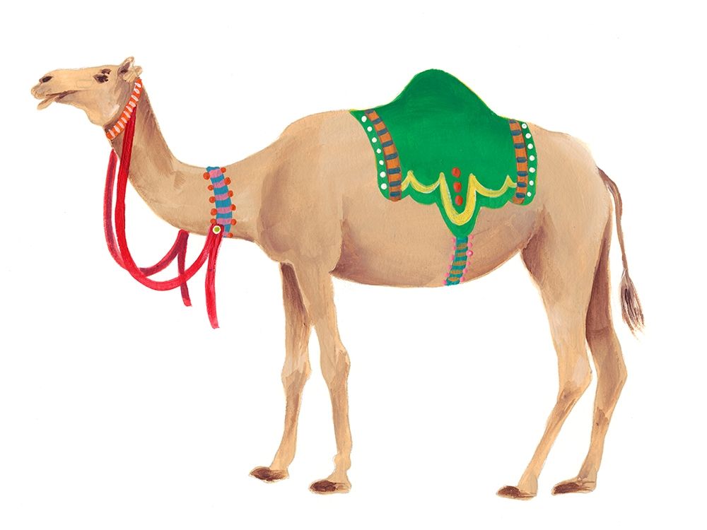 Festival Animal I