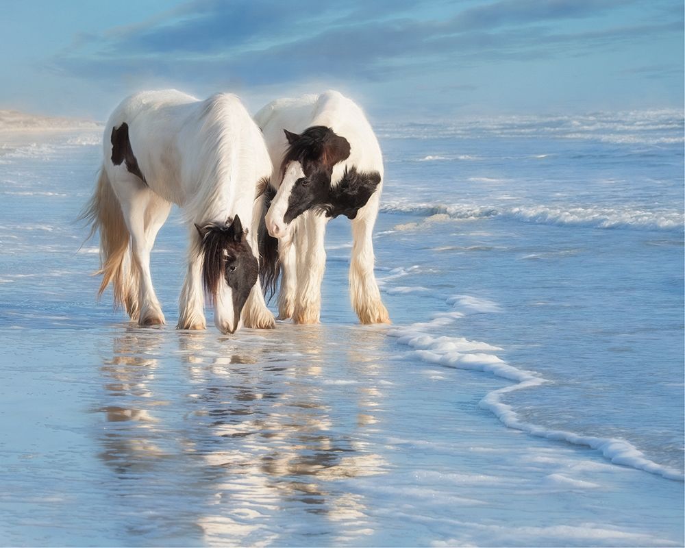 Water Horses I