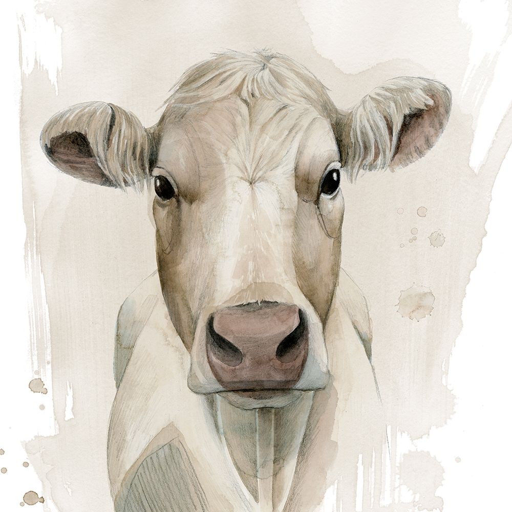 Prairie Bovine II