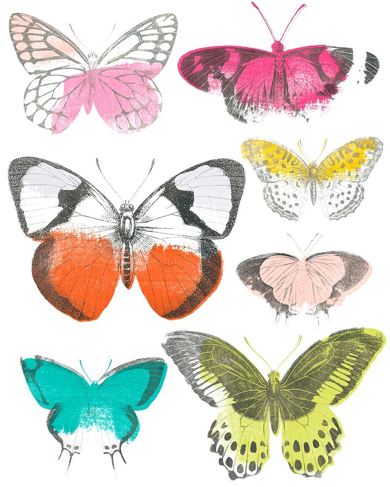 Chromatic Butterflies I