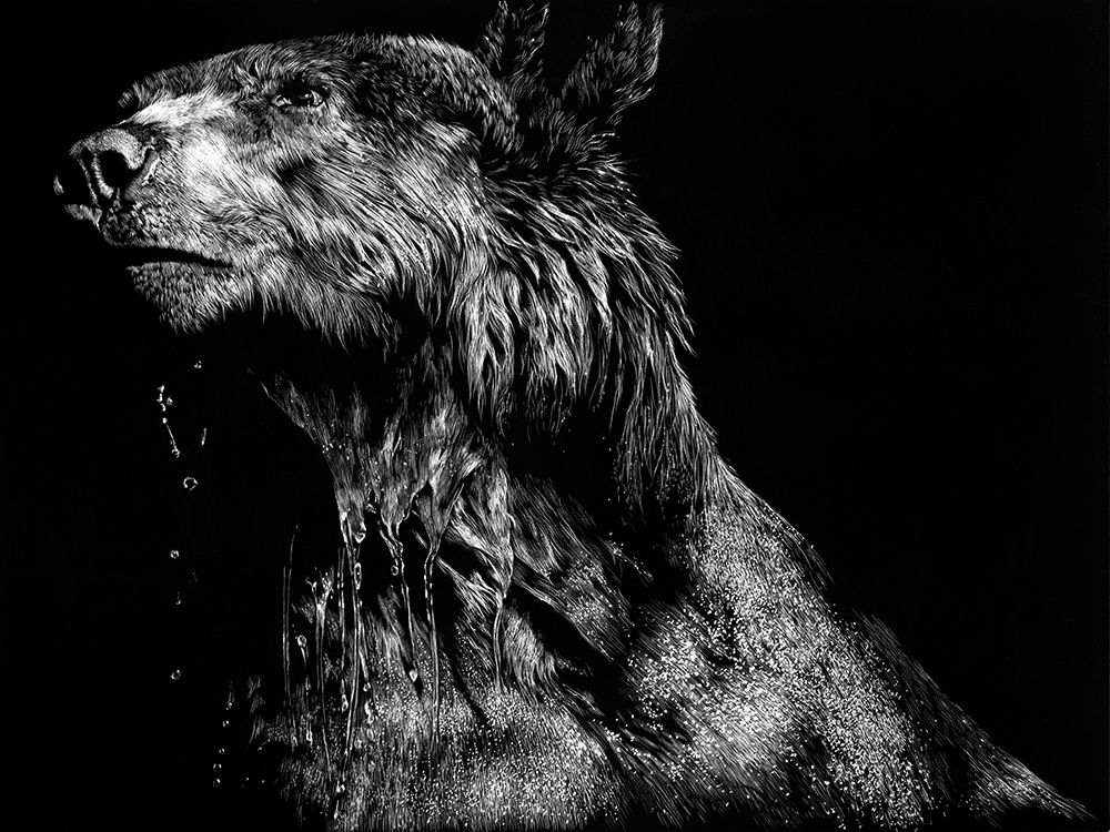 Ursa Major