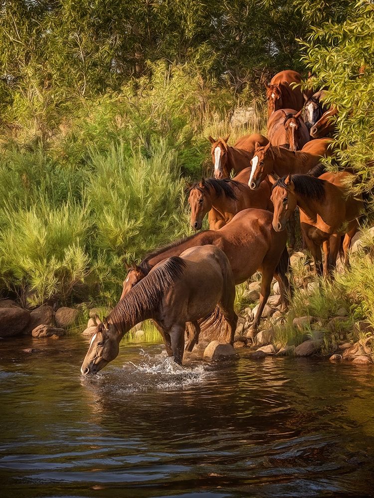 River Horses I