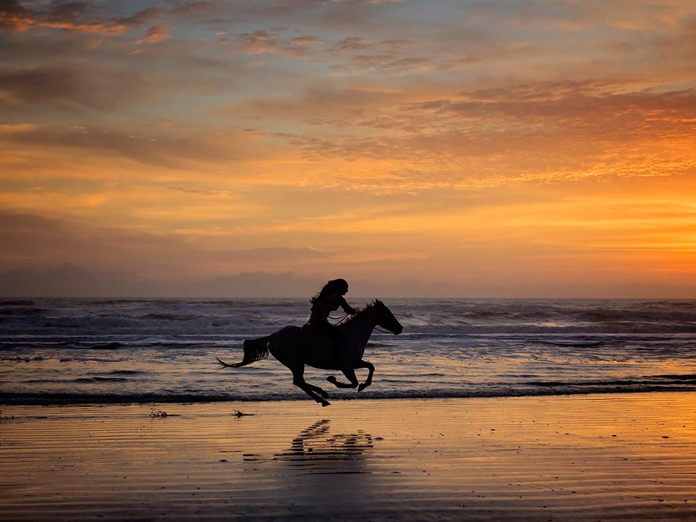 Sunkissed Horses IV