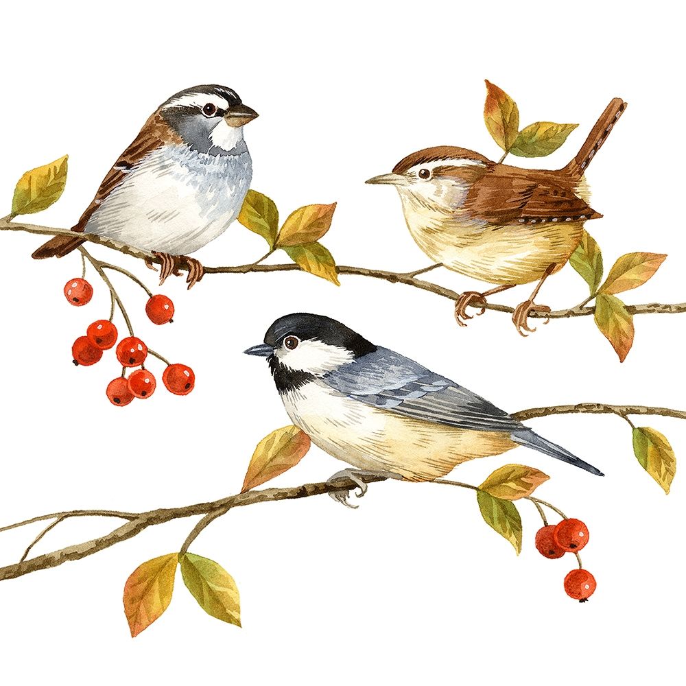 Birds and Berries I