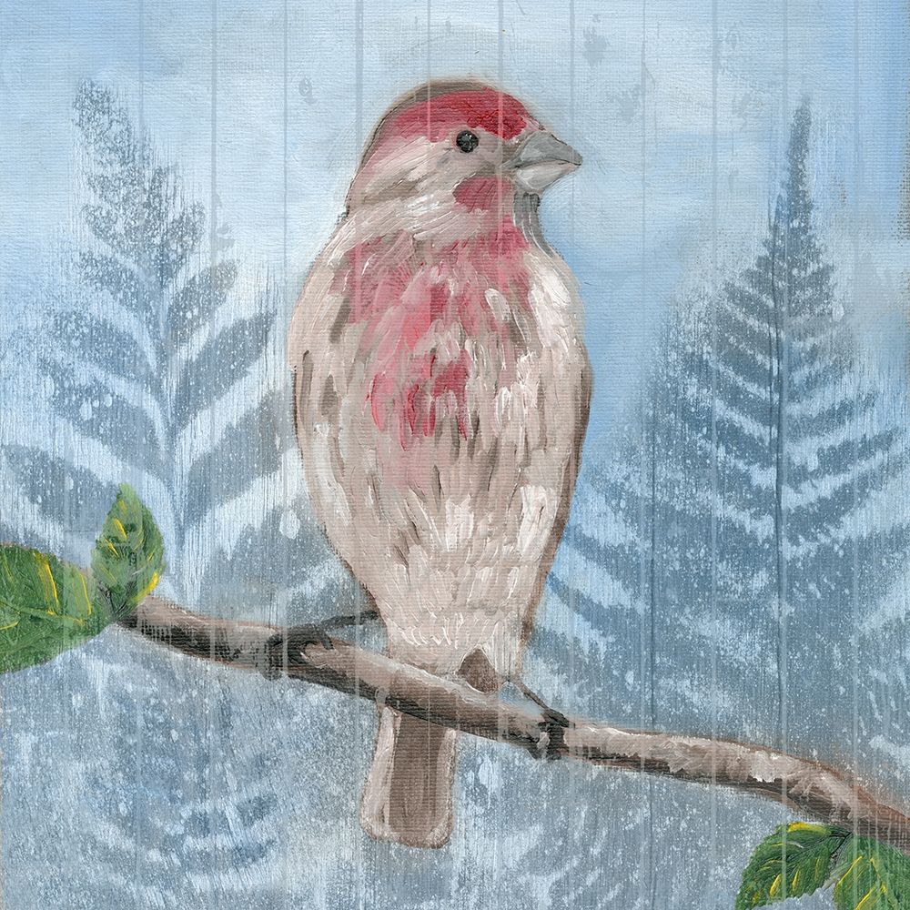 Eastern Songbird I