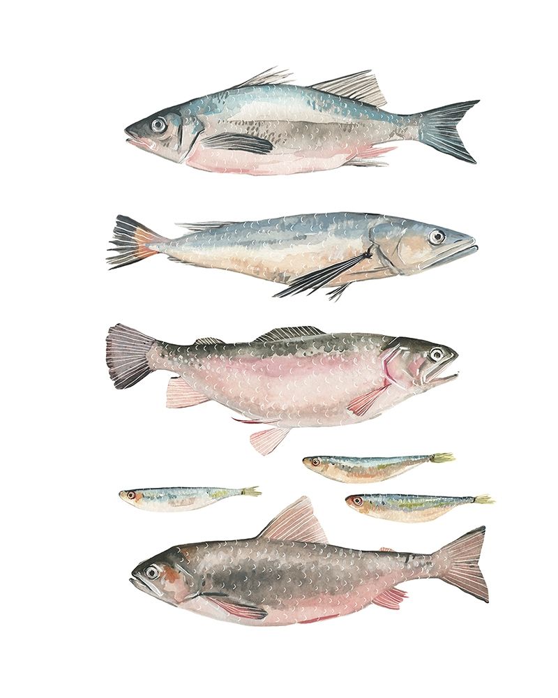 Fish Composition I