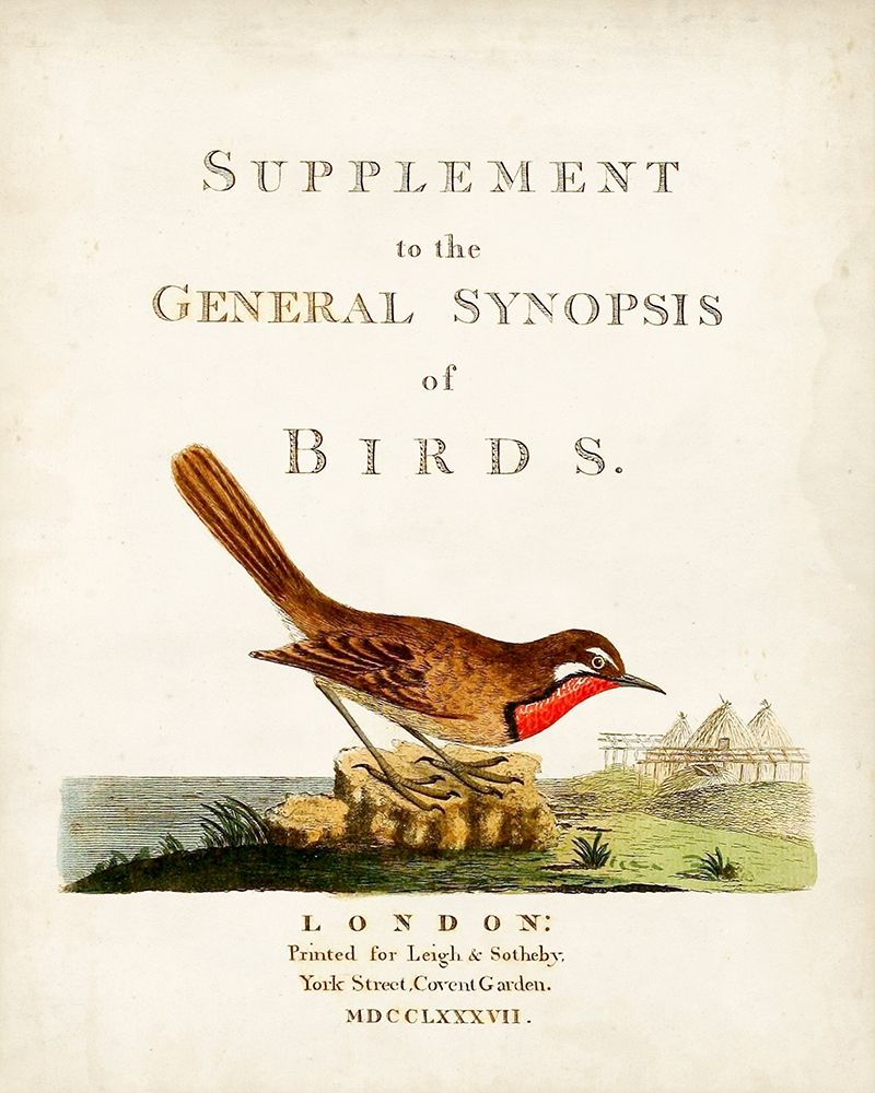 General Synopsis of Birds