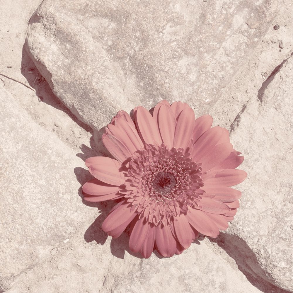 Stone Blossom II