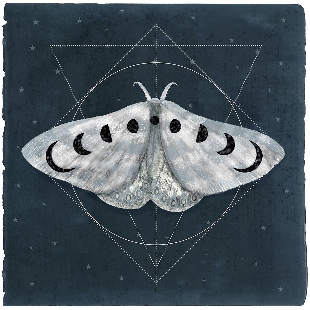 Midnight Moth II