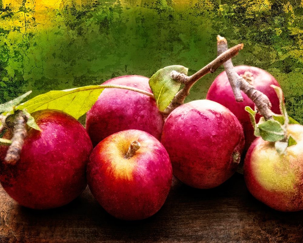 The Harvest I
