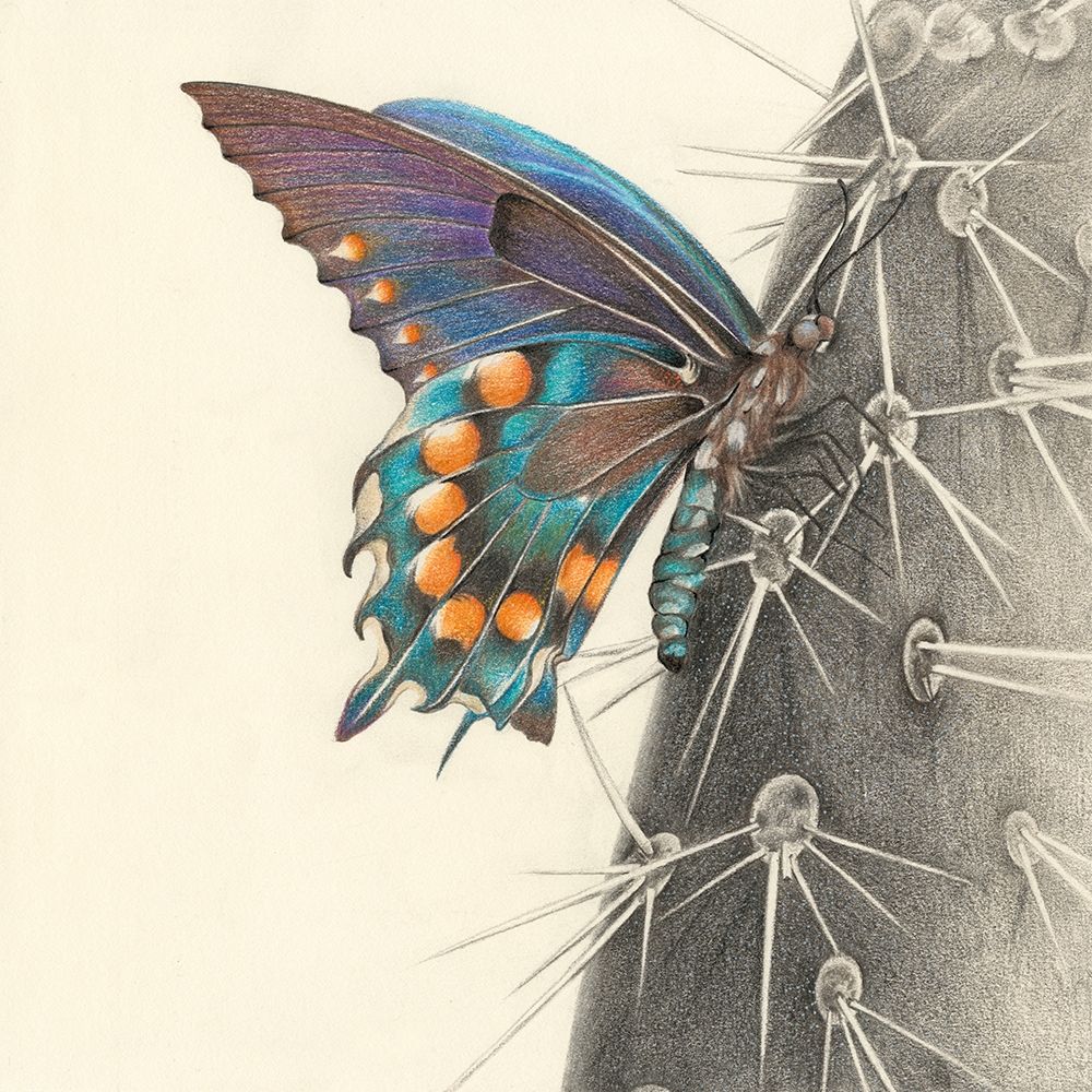 Majestic Butterfly I