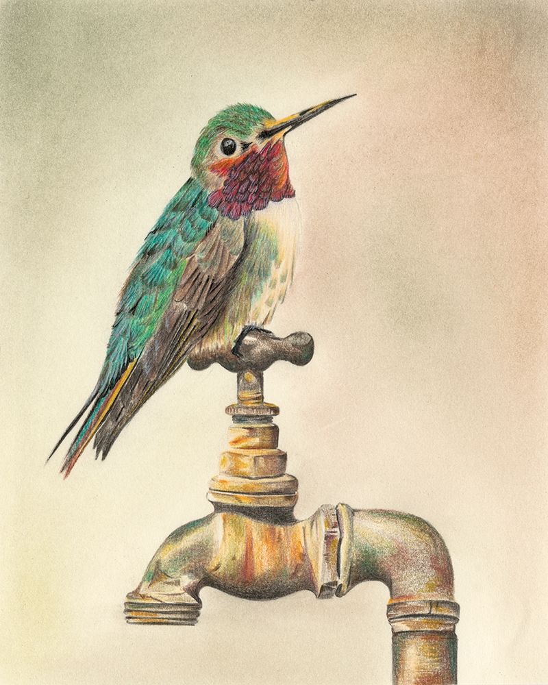 Glory Bird I