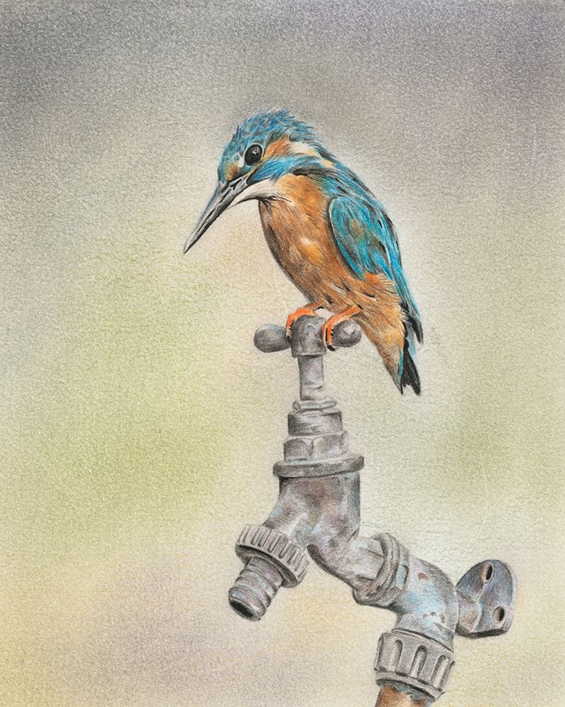 Glory Bird II