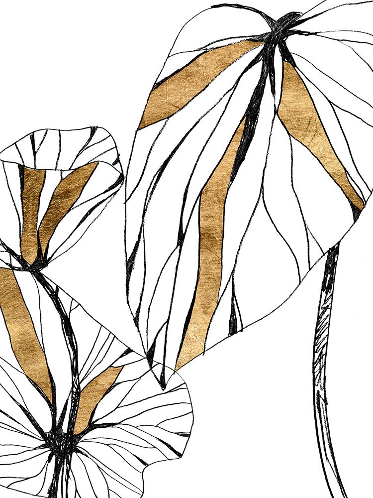 Linear Tropics with Gold II