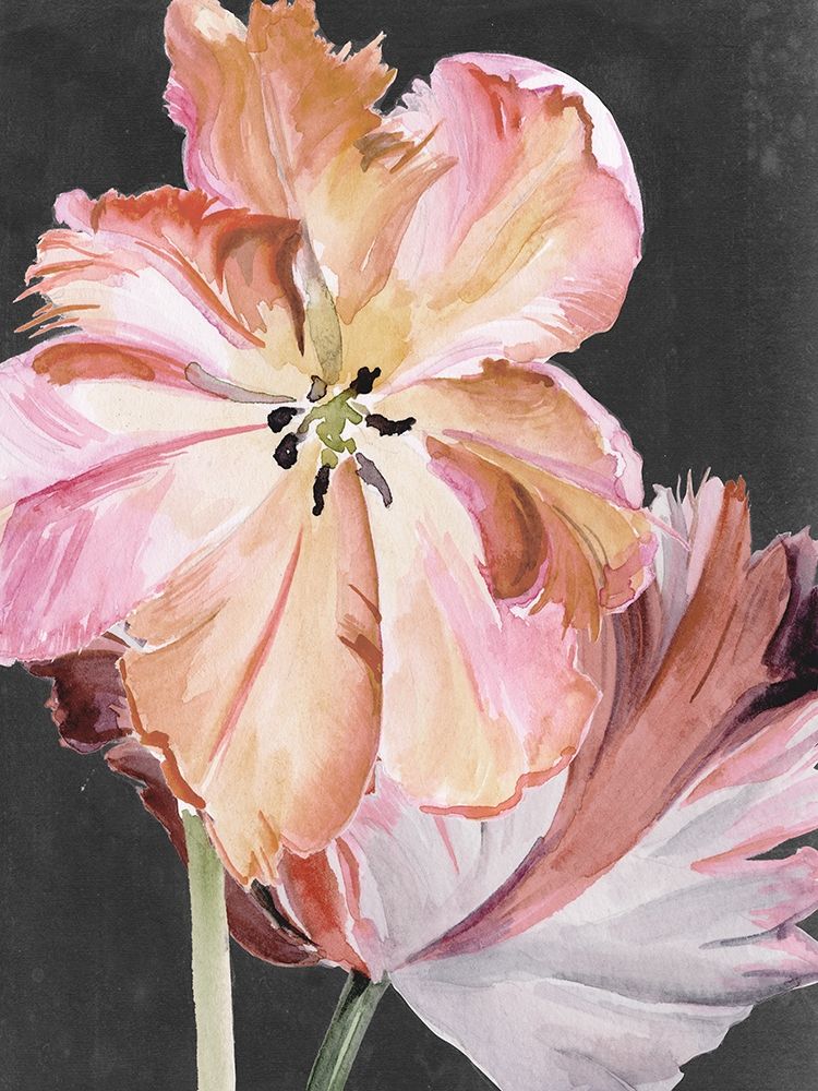 Pastel Parrot Tulips II