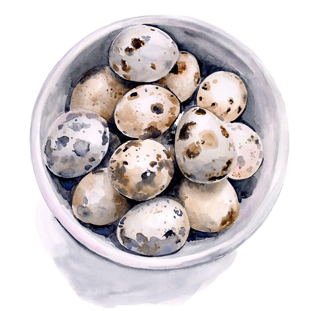 Quail Egg Study II