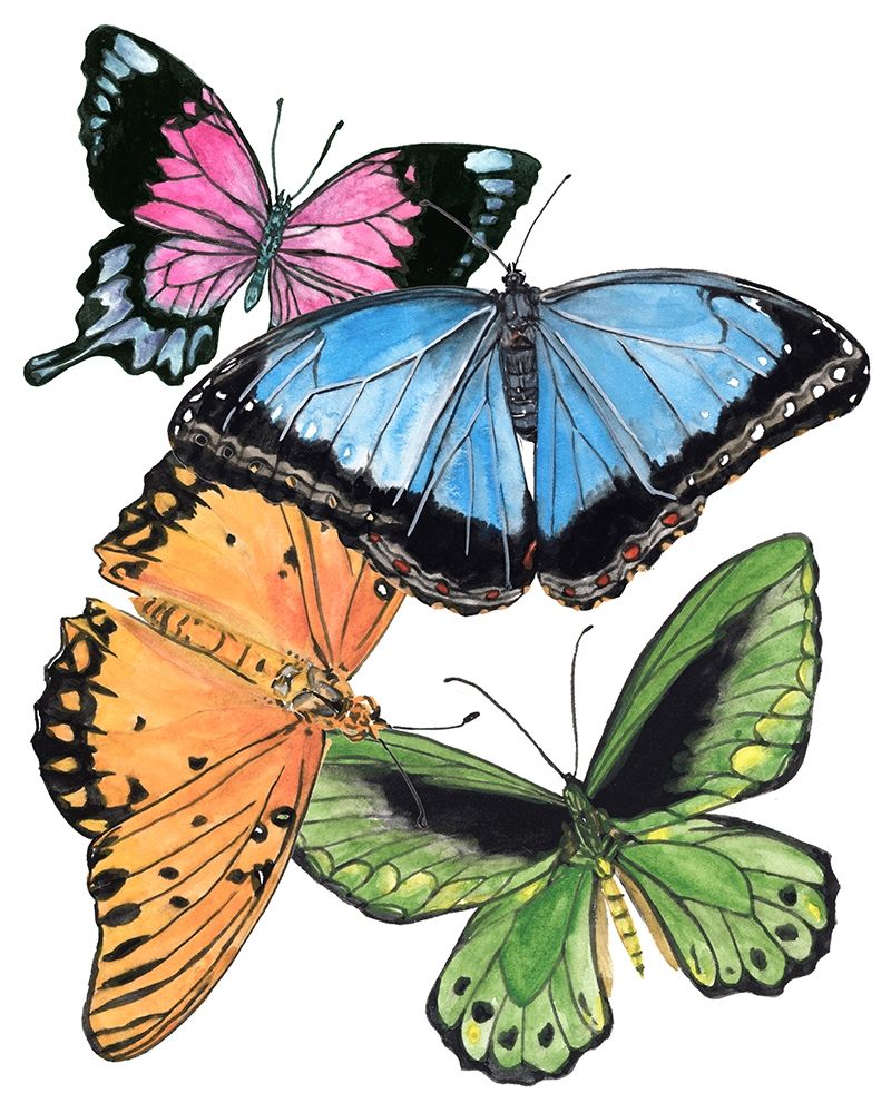 Butterfly Swatches III