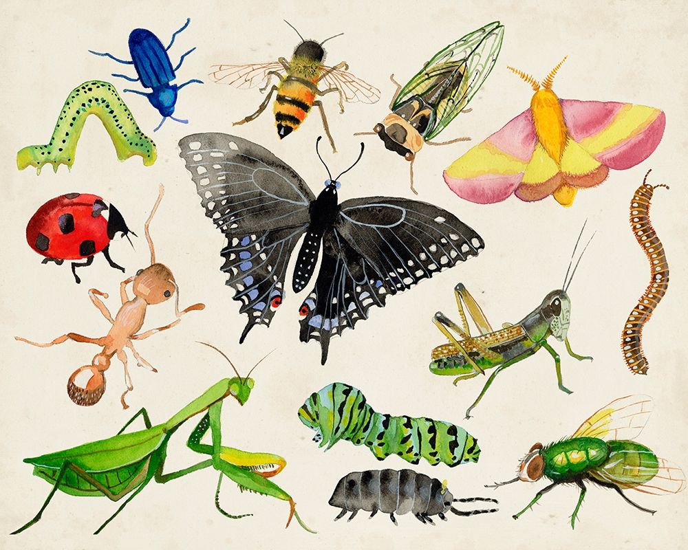 Bugdom I