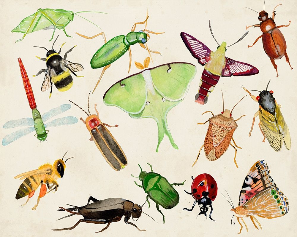 Bugdom II