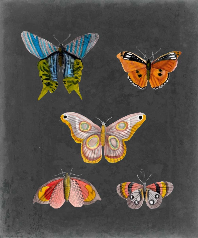 Butterflies on Slate II