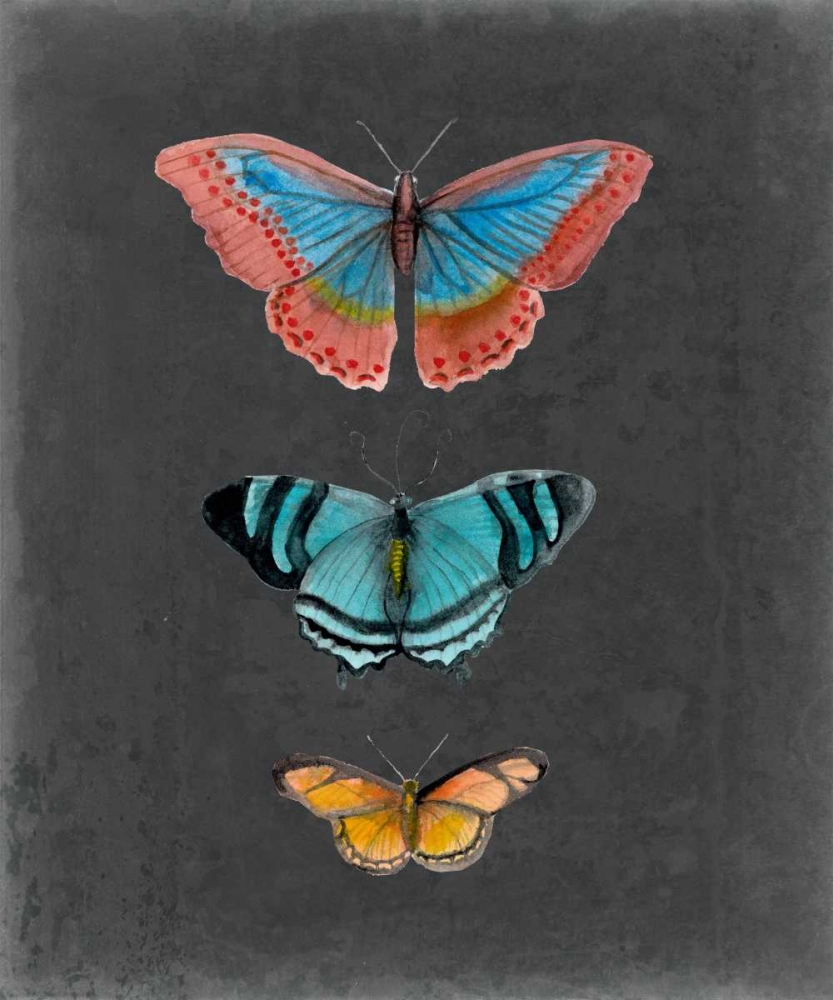 Butterflies on Slate III